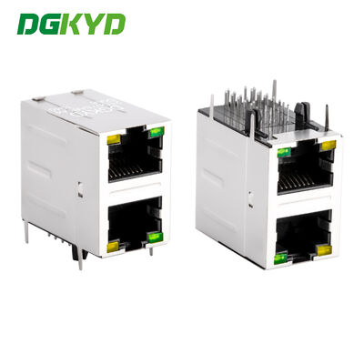 ขั้วต่อ RJ45 สองพอร์ต 2x1 1000BASE-T Gigabit Ethernet พร้อมตัวกรอง